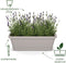 Elho Noa Balkonbak M - Balkonbak voor Buiten - Waterreservoir - 100% Gerecycled Plastic - L52 x B20 x H17.8 cm - Terra