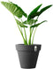 Elho Pure Round 40 - Grote Bloempot voor Binnen & Buiten - Gemaakt van Gereycled Plastic - Ø 39.0 x H 35.7 cm - Antraciet