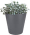 Elho Pure Straight Round 50 - Grote Bloempot voor Binnen en Buiten - Gerecycled Plastic - Ø 49.5 x H 51 cm - Antraciet