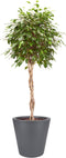 Elho Pure Straight Round 50 - Grote Bloempot voor Binnen en Buiten - Gerecycled Plastic - Ø 49.5 x H 51 cm - Antraciet