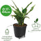 Elho Self-watering Insert 21 - Binnenpot met watermeter - Ø 20.7 x H 19.5 cm - Living Black