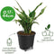 Elho Self-watering Insert 24 - Binnenpot met watermeter - Ø 23.7 x H 22.2 cm - Living Black