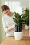 Elho Self-watering Insert 28 - Binnenpot met watermeter - Ø 27.7 x H 25.5 cm - Living Black