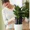 Elho Self-watering Insert 36 - Binnenpot met watermeter - Ø 36.0 x H 34.5 cm - Living Black