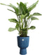 Elho Vibes Fold Coupe 30 - Bloempot voor Binnen - 100% Gerecycled Plastic - Ø 29.5 x H 44.7 cm - Diepblauw