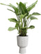 Elho Vibes Fold Coupe 30 - Bloempot voor Binnen - 100% Gerecycled Plastic - Ø 29.5 x H 44.7 cm - Zijdewit