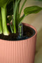Elho Vibes Fold Rond 18 - Bloempot voor Binnen - 100% Gerecycled Plastic - Ø 18.4 x H 16.8 cm - Delicaat roze
