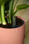 Elho Vibes Fold Rond 25 - Bloempot voor Binnen - 100% Gerecycled Plastic - Ø 25,0 x H 23.0 cm - Delicaat roze