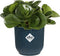 Elho Vibes Fold Rond Mini 9 - Bloempot voor Binnen - 100% Gerecycled Plastic - Ø 9.3 x H 8.8 cm - Blauw