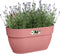 Elho Vibia Campana Easy Hanger M 36 - Balkonbak met Ophanghaken - 100% Gerecycled Plastic - Ø 36.0 x H 26.5 cm - Poederroze