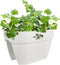 Elho Vibia Campana Flower Bridge 40 - Plantenbak voor Balkon Railing - 100% Gerecycled Plastic - Ø 39.0 x H 22.0 cm - Zijdewit