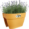 Elho Vibia Campana Flower Bridge 40 - Plantenbak voor Balkon Railing - 100% Gerecycled Plastic - Ø 39.0 x H 22.0 cm - Honinggeel