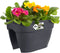 Elho Vibia Campana Flower Bridge 40 - Plantenbak voor Balkon Railing - 100% Gerecycled Plastic - Ø 39.0 x H 22.0 cm - Antraciet