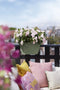 Elho Vibia Campana Flower Bridge 40 - Plantenbak voor Balkon Railing - 100% Gerecycled Plastic - Ø 39.0 x H 22.0 cm - Pistachegroen
