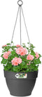 Elho Vibia Campana Hangschaal 26 - Bloempot voor Buiten - Ø 26.0 x H 18.4 cm - Antraciet
