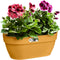 Elho Vibia Campana Wall Basket 35 - Wand Bloempot voor Buiten - 100% Gerecycled Plastic - Ø 35.0 x H 14.8 cm - Honinggeel