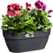 Elho Vibia Campana Wall Basket 35 - Wand Bloempot voor Buiten - 100% Gerecycled Plastic - Ø 35.0 x H 14.8 cm - Antraciet