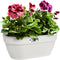 Elho Vibia Campana Wall Basket 35 - Wand Bloempot voor Buiten - 100% Gerecycled Plastic - Ø 35.0 x H 14.8 cm - Zijdewit