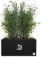Elho Vivo Next Lang 60 - Plantenbak voor Binnen & Buiten Rechthoekig - 100% Gerecycled Plastic - L 59.0 x H 29.2 cm - Living black