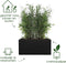 Elho Vivo Next Lang 60 - Plantenbak voor Binnen & Buiten Rechthoekig - 100% Gerecycled Plastic - L 59.0 x H 29.2 cm - Living black