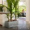 Elho Vivo Next Lang 80 - Plantenbak voor Binnen & Buiten Rechthoekig - 100% Gerecycled Plastic - L 78.0 x H 37.9 cm - Living concrete