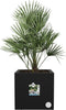 Elho Vivo Next Vierkant 30 - Plantenbak voor Binnen & Buiten - 100% Gerecycled Plastic - L 29.5 x H 29.5 cm - Living black