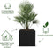 Elho Vivo Next Vierkant 30 - Plantenbak voor Binnen & Buiten - 100% Gerecycled Plastic - L 29.5 x H 29.5 cm - Living black