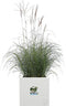 Elho Vivo Next Vierkant 40 - Plantenbak voor Binnen & Buiten - 100% Gerecycled Plastic - L 39.0 x H 37.9 cm - Wit