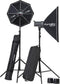 Elinchrom D-Lite RX 4/4 Softbox to go Set 5.0