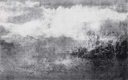 wash+dry Aura - Fußmatte - 110x175 cm - wasbaar - Grijs