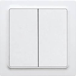 Eltako FT55EH-wg Toets ZigBee Opbouw (op muur)