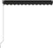 vidaXL - Luifel - automatisch - uittrekbaar - 300x250 - cm - antraciet