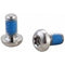 Elvedes remschijfboutjes titanium (6)