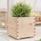 vidaXL - Plantenbak - 50x50x49,5 - cm - massief - grenenhout