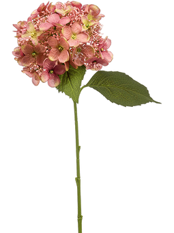 Emerald Emerald Kunstbloemen Hydrangea Hortensia Oud Roze 429677