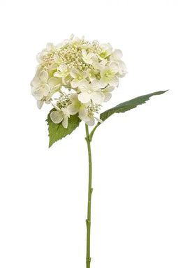 Emerald Emerald Kunstbloemen Hydrangea Hortensia Wit 429676
