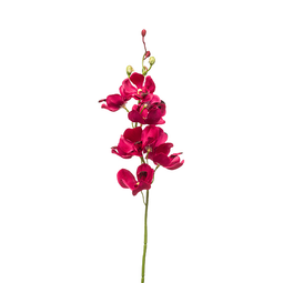 Emerald Emerald Kunstbloemen Mokara Beauty Roze 54 cm 431686