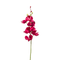Emerald Emerald Kunstbloemen Mokara Beauty Roze 54 cm 431686