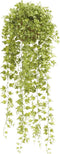 Emerald - Ivy Hangplant - In pot - 50 cm - Groen