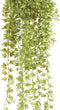 Emerald - Ivy Hangplant - In pot - 50 cm - Groen