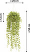 Emerald - Ivy Hangplant - In pot - 50 cm - Groen