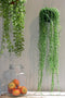 Emerald - Ivy Hangplant - In pot - 50 cm - Groen