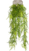 Emerald - Kunst Hangplant Asparagus Plumosus 80cm - Kunstplanten voor binnen