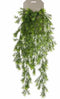 Emerald - Kunst Hangplant Asparagus Sprengeri 75cm - Kunstplanten voor binnen