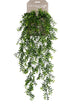 Emerald - Kunst Hangplant Buxus 75cm - Kunstplanten voor binnen