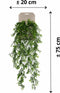 Emerald - Kunst Hangplant Buxus 75cm - Kunstplanten voor binnen