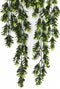 Emerald - Kunst Hangplant Buxus Berry 75cm - Kunstplanten voor binnen