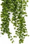 Emerald - Kunst Hangplant Ficus Pumila 80cm - Kunstplanten voor binnen