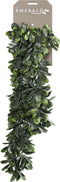 Emerald - Kunst Hangplant Grassula 80cm - Kunstplanten voor binnen