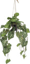 Emerald - Kunst Hangplant in pot Anthurium 80cm - Kunstplanten voor binnen